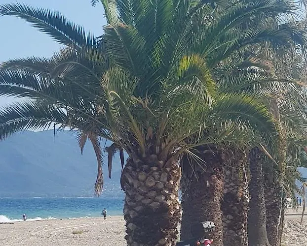 Apartment With Two Rooms Near The Beach